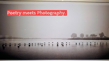 Zaaviye, by Gaurav Bhardwaj 