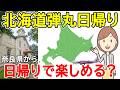 奈良県から北海道へ日帰り旅してみました|弾丸日帰り|北海道旅行 札幌|札幌ひとり旅|ピーチ航空