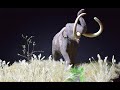 How to make a realistic steppe mammoth diorama / polymer clay / diy.