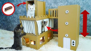 Rescue Kittens From Rubble And Make Amazing Kitten Cat Pet House From Cardboard | Animals Design