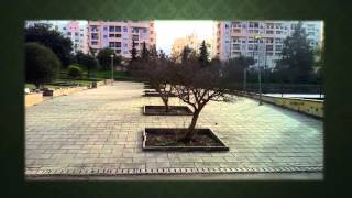 Escola secundária Pinheiro e Rosa, Faro