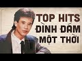 Top Hits Tuấn Vũ | Tuyển chọn nhạc vàng trữ tình xưa đình đám một thời | Phượng Hoàng Tuấn Vũ