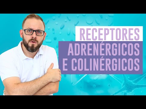 Vídeo: Os receptores adrenérgicos são simpáticos ou parassimpáticos?