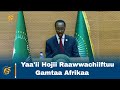 Yaa'ii Hojii Raawwachiiftuu Gamtaa Afrikaa