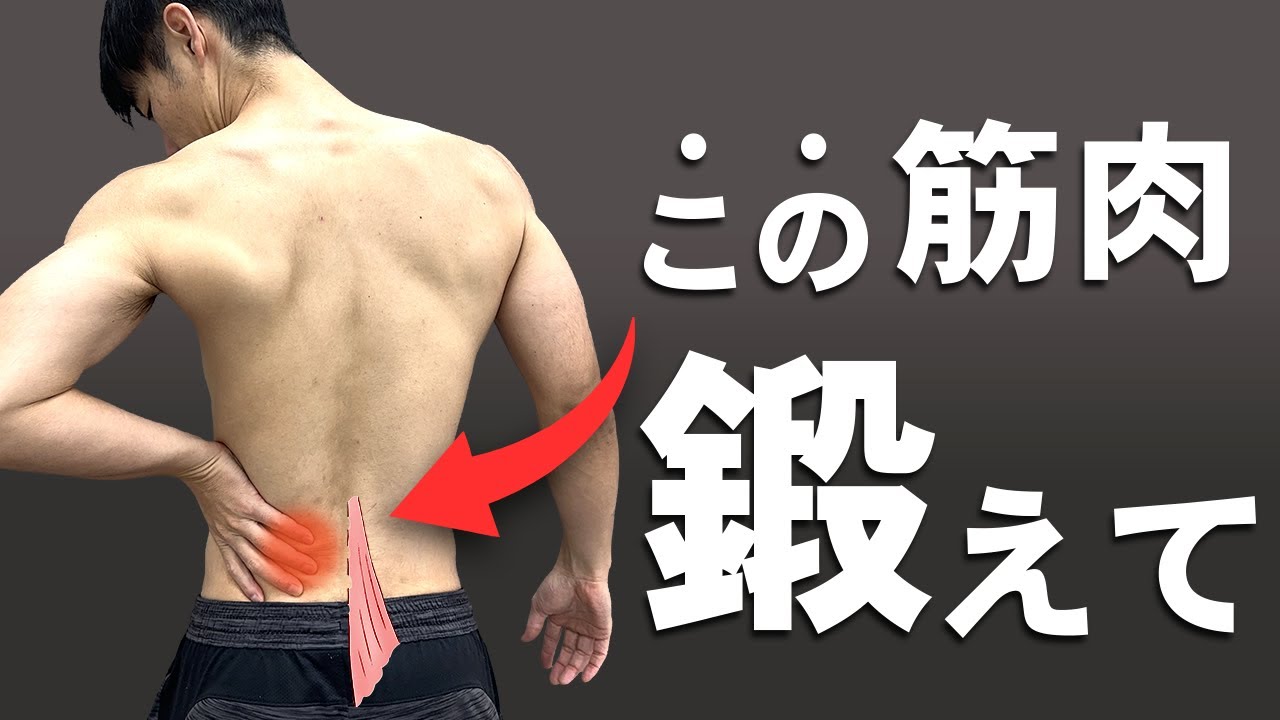 【腰痛筋トレに超重要】多裂筋を鍛える最強の運動療法（科学的根拠）