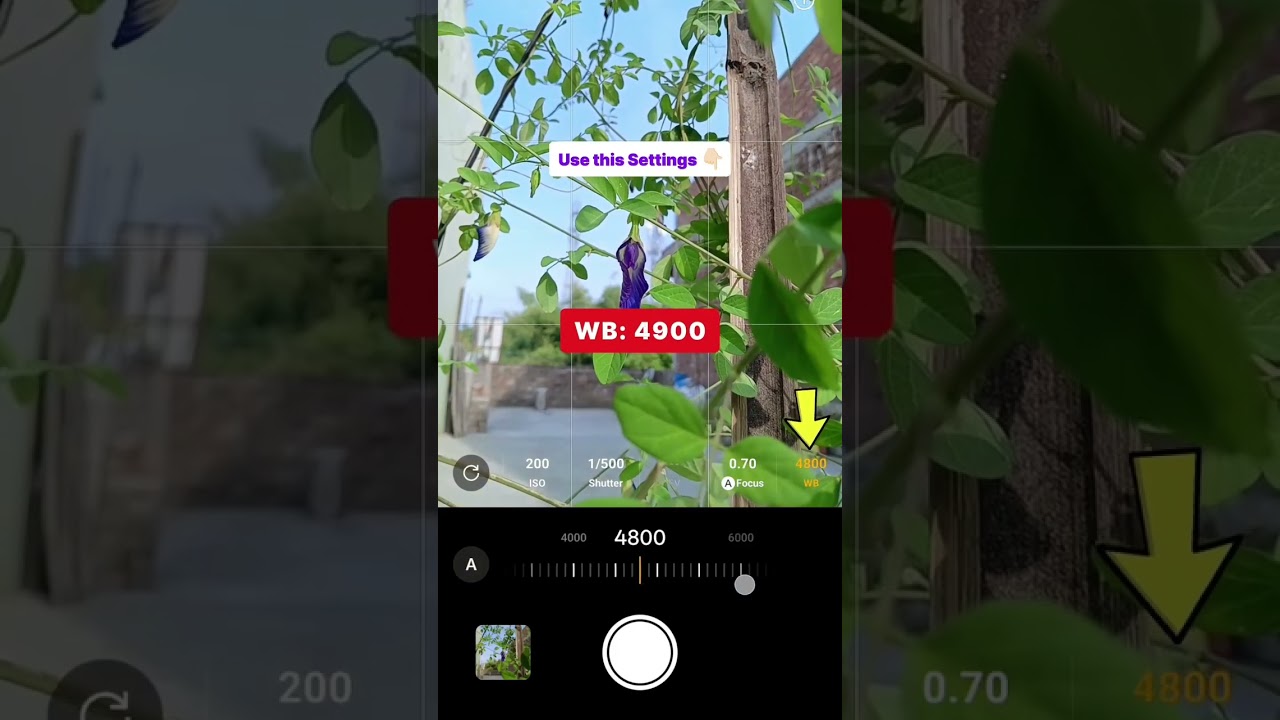 creative photography tutorial  creative photography nature photography subscribe like editing