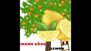 Bé học từ vựng tiếng anh về các loại quả  #rubytv #behocnoi #quacam #tienganhchobe