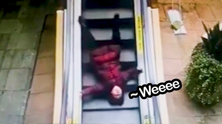 Daily Dose of Funny Escalator Fails