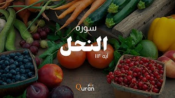 سوره النحل پشتو ترجمه سره آیه (۱۱۴) Surah an-nahl with pashto translation