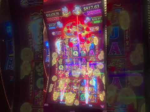 Are There Strategy Tutorials Focused on Live Dealer Casino Games? | Casino Winners Advisor