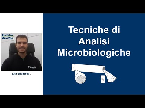 Biofilm Minutes - Tecniche di Analisi Microbiologiche