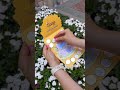Scavenger Hunt at EPCOT Flower and Garden Festival! #epcot #disneyworld #waltdisneyworld #disney
