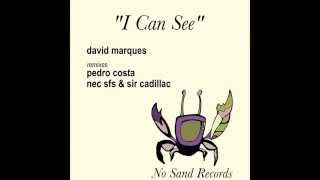 David Marques - "I Can See" (Nec SFS & Sir Cadillac Remix) [No Sand Records] NS0035