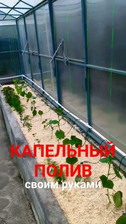 Капельный полив своими руками. Новое видео на канале. - YouTube
