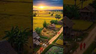 Aerial view of village