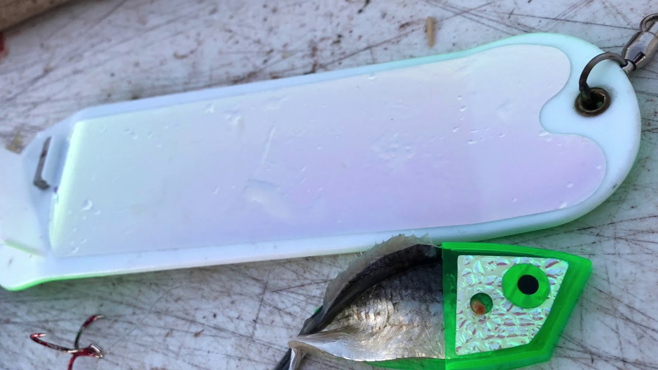 Lake Ontario Salmon Fishing