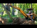Backhoe or Chainsaw?  Two Methods of Tree Removal!