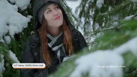FREE LUTS FOR GH5 VLOG