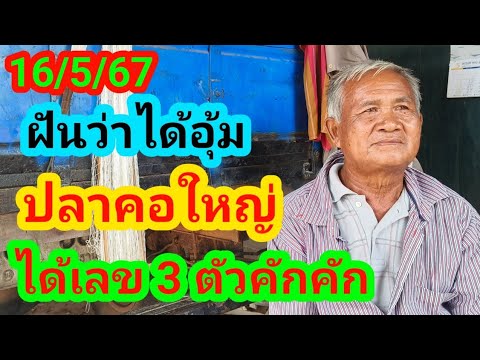 พ่อไสวฝันว่าได้อุ้มปลาคอใหญ่ได้เลข 3 ตัวคักคัก 16/5/67