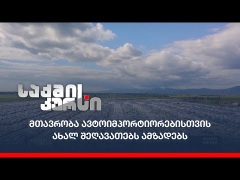 მთავრობა ავტოიმპორტიორებისთვის ახალ შეღავათებს ამზადებს
