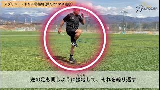 公式】タニラダー販売ショップ | 誰でも足が速くなる！谷真一郎コーチ監修