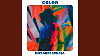 Color - Inflorescencia