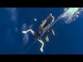 Freediving world record  45m unassisted