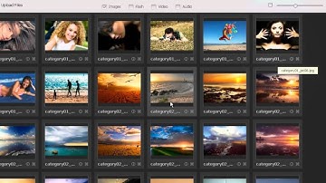 Flash CMS: How to work with gallery module