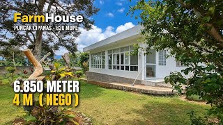VILLA FOR SALE IN KEBUN PUNCAK CIPANAS | 6,850 METERS | 4 M (NEGOTIABLE)
