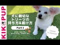Dog Training Tips in Japanese with Special Guest Miki Saito Part 1 犬のトレーニングのヒント