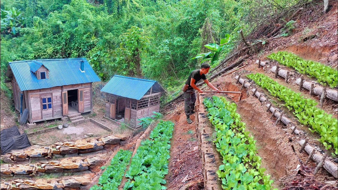 Выращивание и сбор органических овощей в горах – жизнь в гармонии с природой