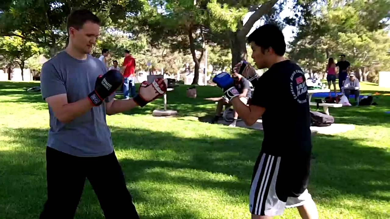 Krav Maga (shorts) vs Takeshikai Karate YouTube