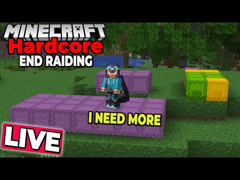 END RAIDING - I NEED Shulker Boxes - Hardcore Minecraft 1.21 Survival