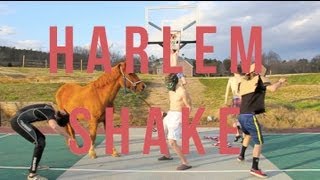 Harlem Shake (Horse Edition ORIGINAL)