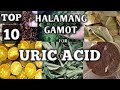 TOP 10 HALAMANG GAMOT PARA SA URIC ACID || URIC ACID NATURAL REMEDIES || Homefoodgarden || NATURER