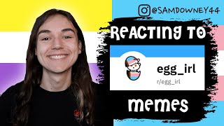 TRANS PERSON REACTS TO EGG IRL REDDIT MEMES