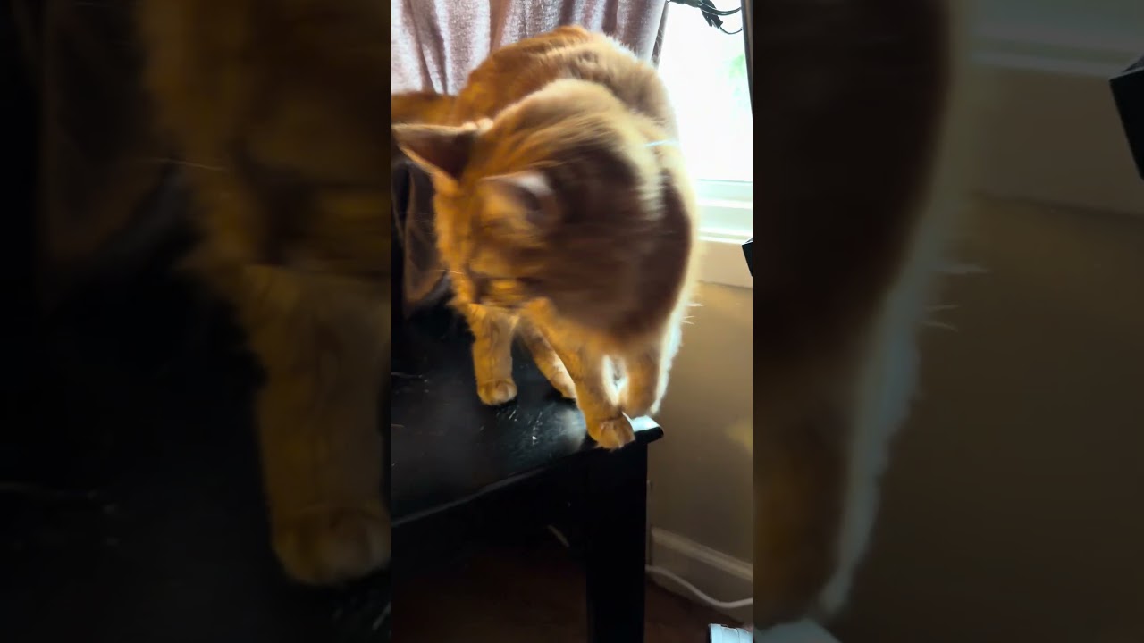 Оставив Его