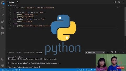 How to Code PYTHON: Branch Code Execution Based on User Input