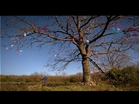 Büyük Buluşma - Çaput Ağacı ile Gelen #büyükbuluşma #sırlardünyası #izle #samanyolu #dizi