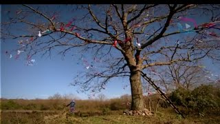 Büyük Buluşma - Çaput Ağacı ile Gelen #büyükbuluşma #sırlardünyası #izle #samanyolu #dizi