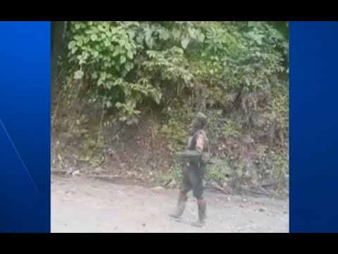 Preocupantes enfrentamientos entre ELN y Clan del Golfo en Nóvita, Chocó