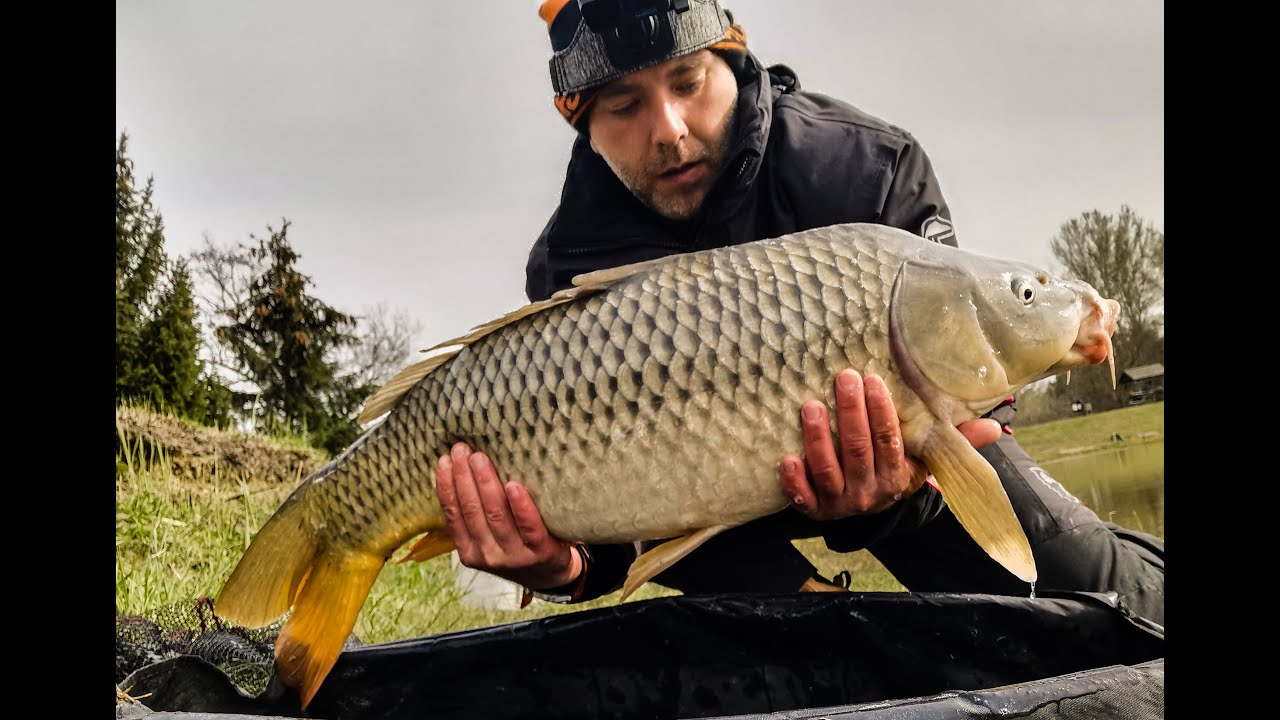 Úszós peca. 10+ os ponty match bottal (-4 °C, Április)
