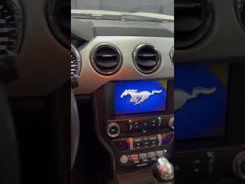 Ford Mustang #reggae #dj #automobile #лето #humor #motovlog #bikelife #rider #riding