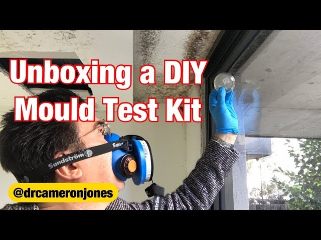 DIY MOLD Screening Kit (2 cultures per kit)