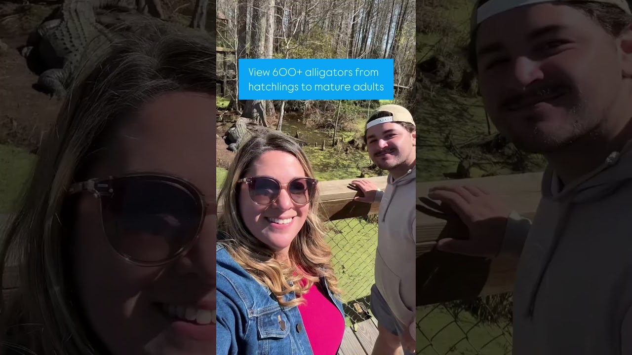 🐊Have you heard of Alligator Alley?