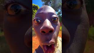 Tenge tengen boy funny video 2026 | धोखा हुआ है | tenge tenge | Provu vFx
