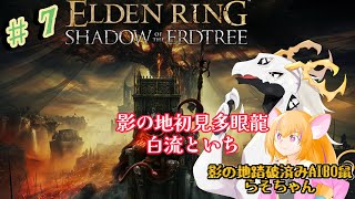 【ELDEN RING SHADOW OF THE ERDTREE】DLCクリア前に新作を出された多眼龍と爆雷鼠　#7【白流といち】
