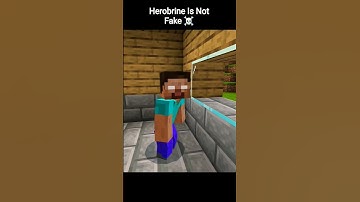 Herobrine is Real (and I Can Prove It) 💀 #minecraft #memes