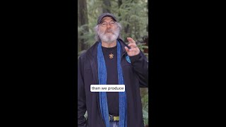 Offsetting climate chaos