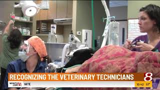 National Veterinary Technician Week